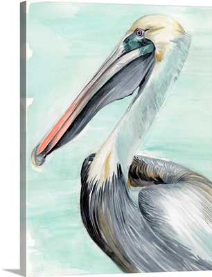 Turquoise Pelican II