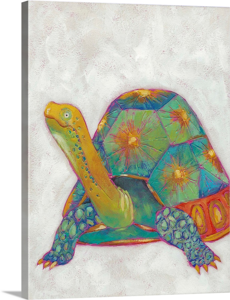 Children's illustration of a friendly turtle in shades of teal and orange.