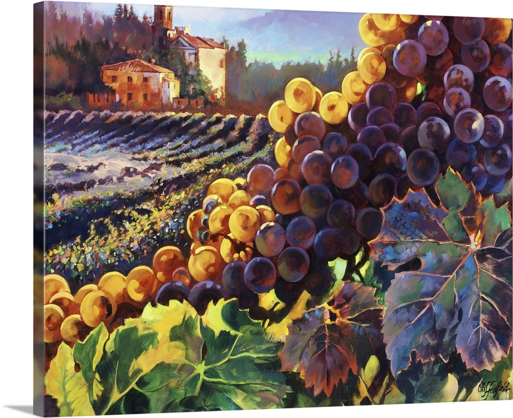 Tuscany Harvest