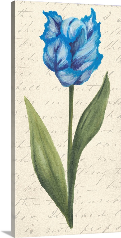 Contemporary artwork of a tulip against a cream colored background with script.