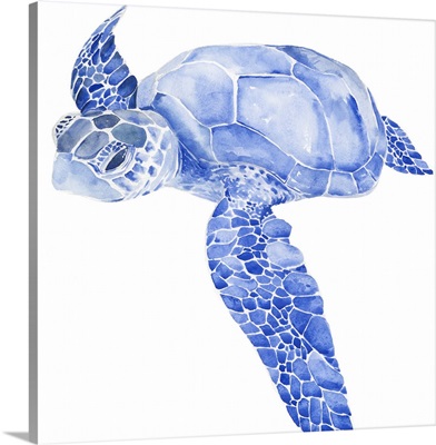 Ultramarine Sea Turtle I