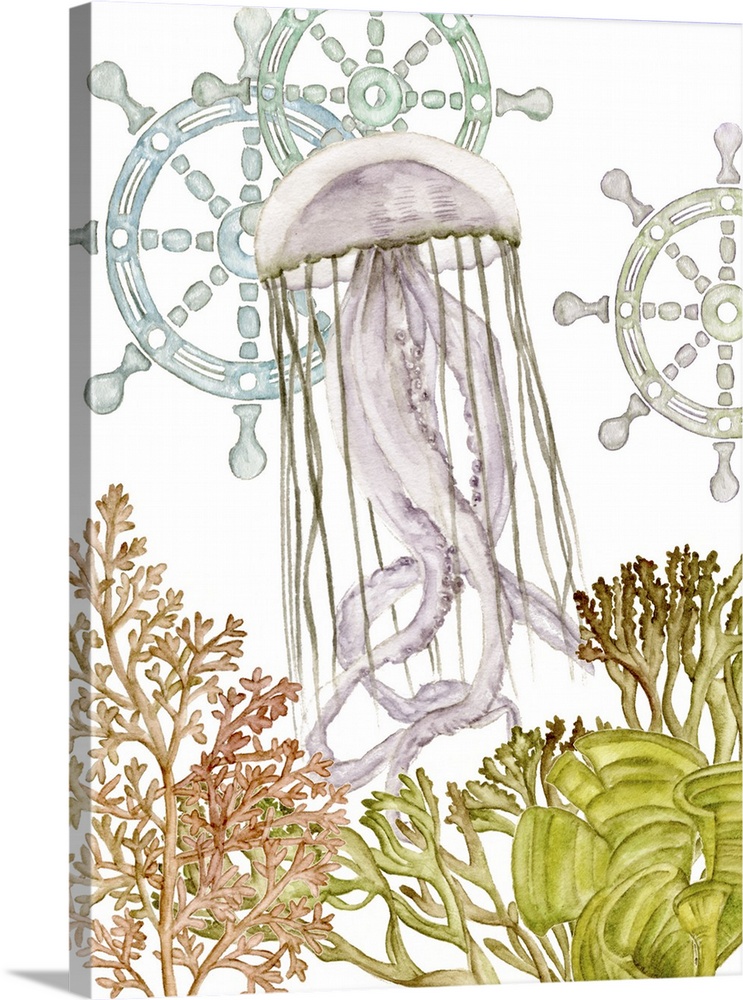Beach themed watercolor painting of a jellyfish with seaweed and coral and ship wheels on the background.