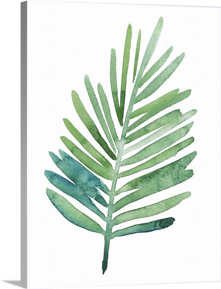 Watercolor artwork of a leafy green palm frond on white.
