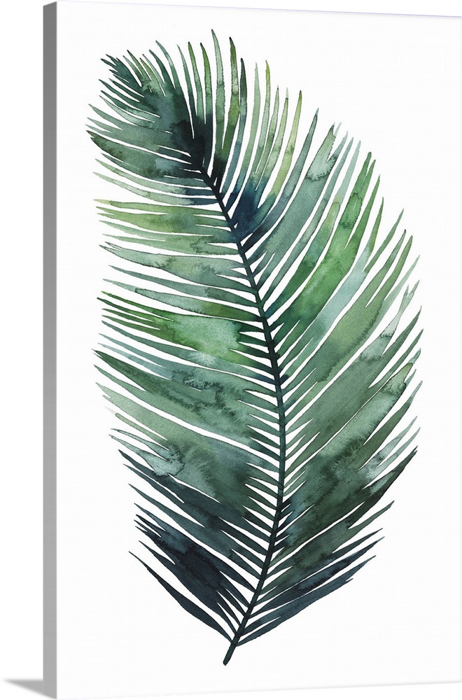 Simple watercolor illustration of a green palm frond on white.
