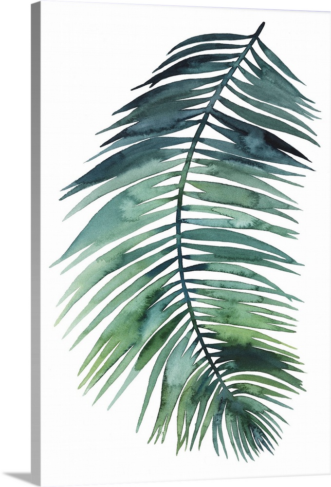 Simple watercolor illustration of a green palm frond on white.