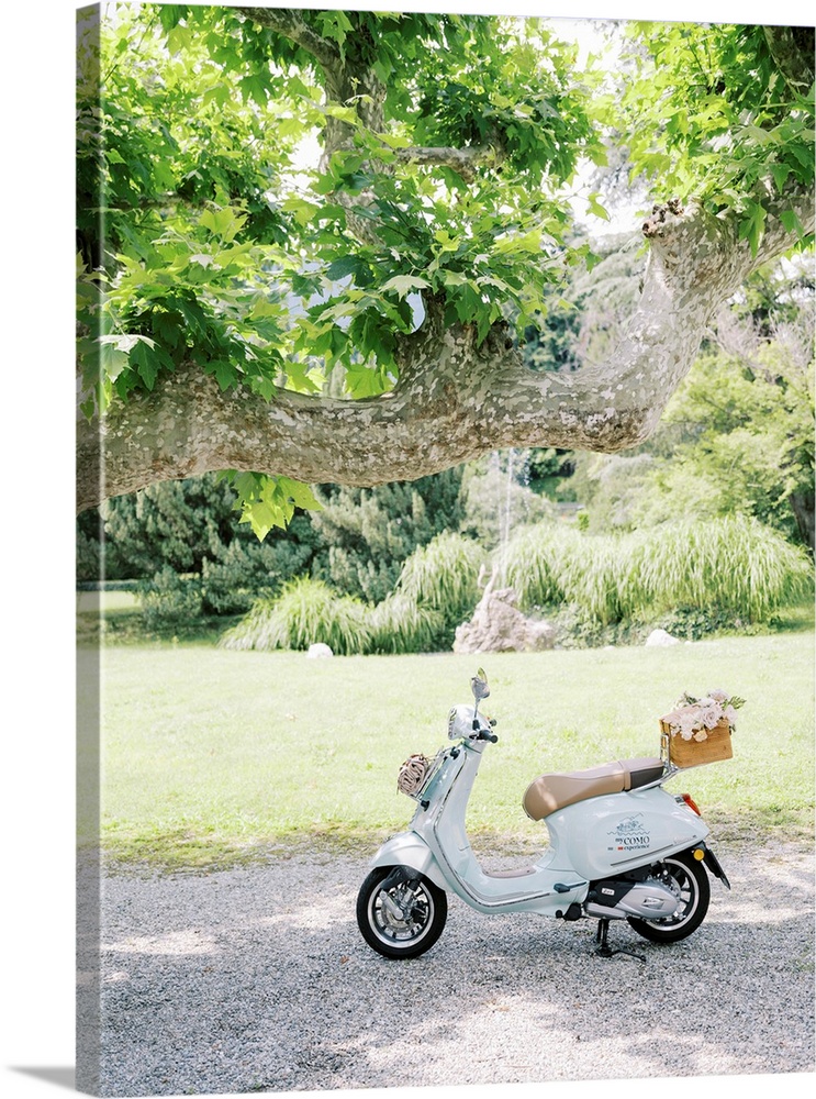A photograph of a pale blue motor scooter with a basket of flowers on the back parked underneath a tree in a lush garden s...