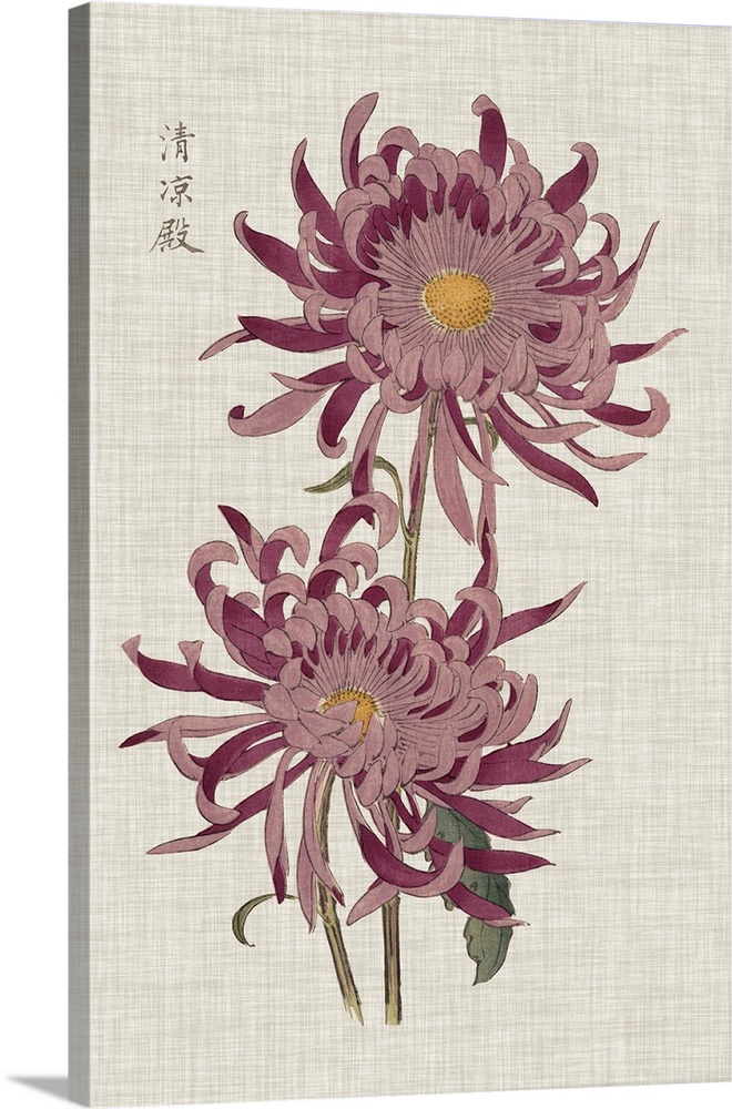 Decorative art with two large purple and pink mums on a heather tan textured background.