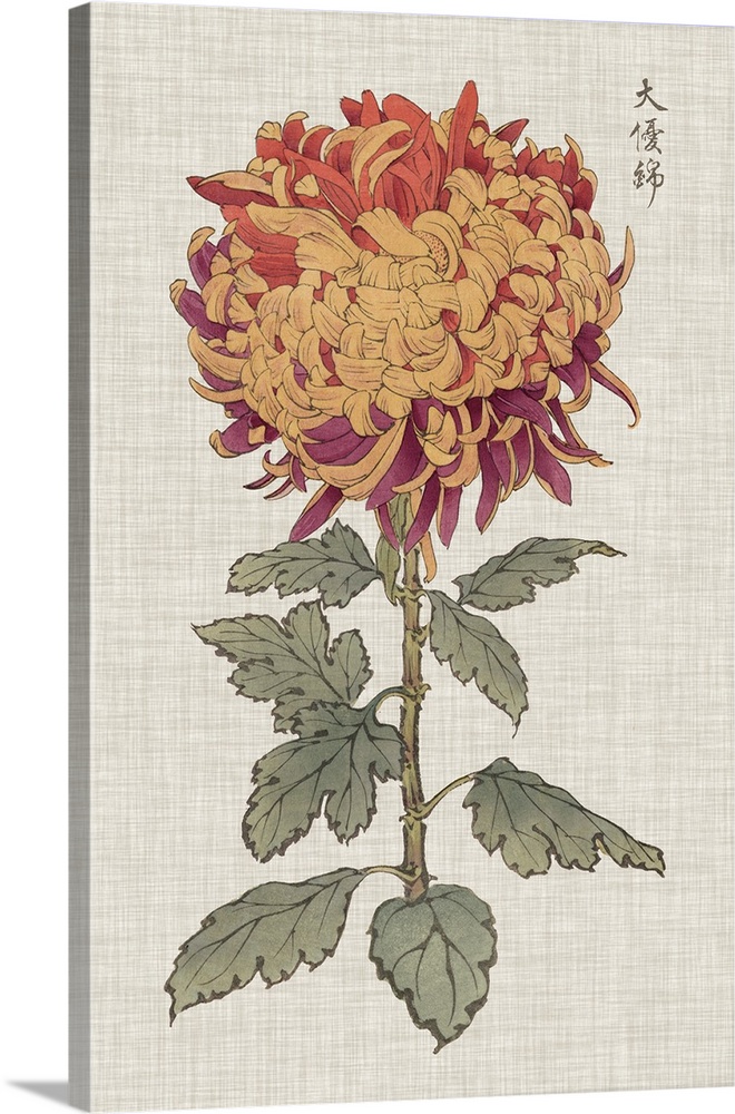 Decorative art with a large orange, purple, and red mum on a heather tan textured background.