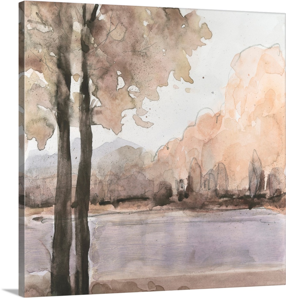 View Behind The Trees I