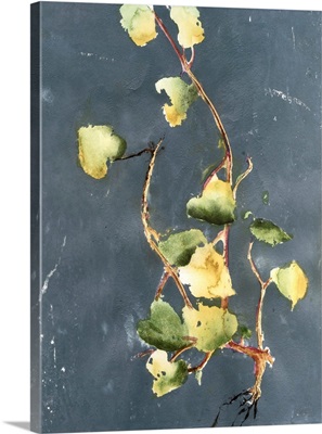 Vigorous Vine II