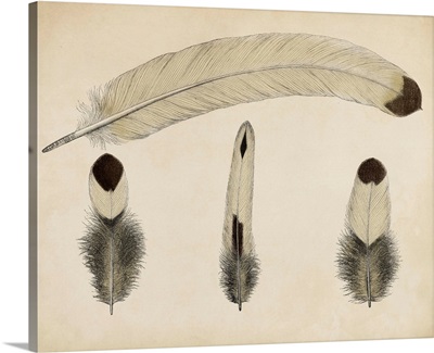 Vintage Feathers V