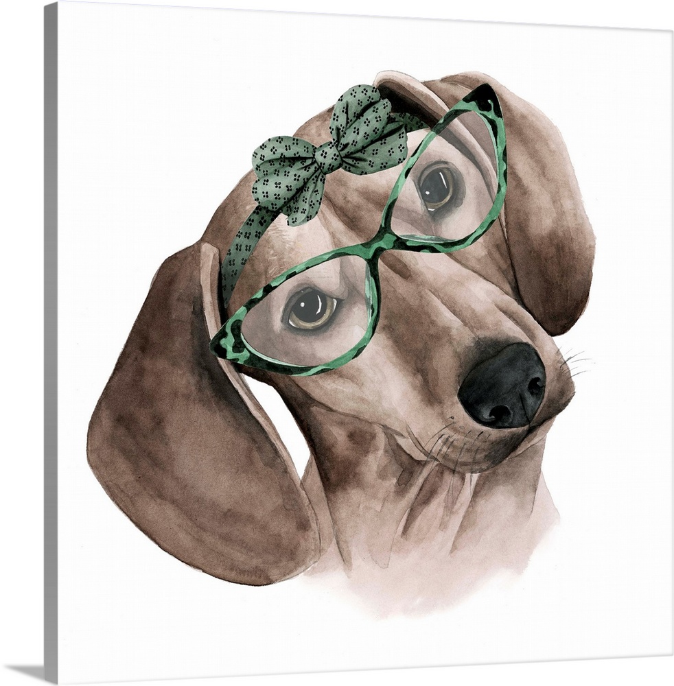 Humorous illustration of a dachshund wearing large glasses and a bow.