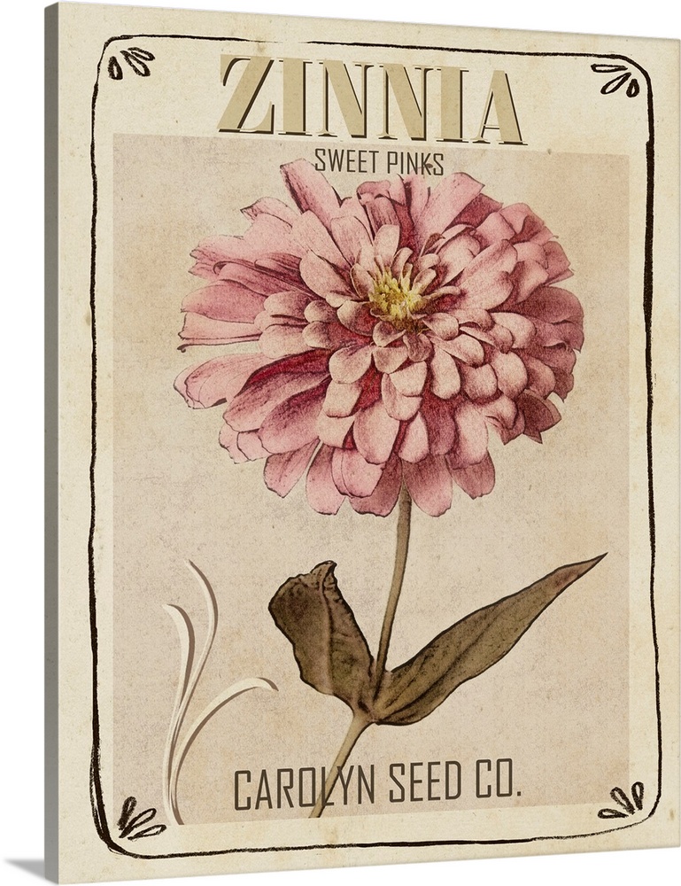 Vintage Seed Packets II