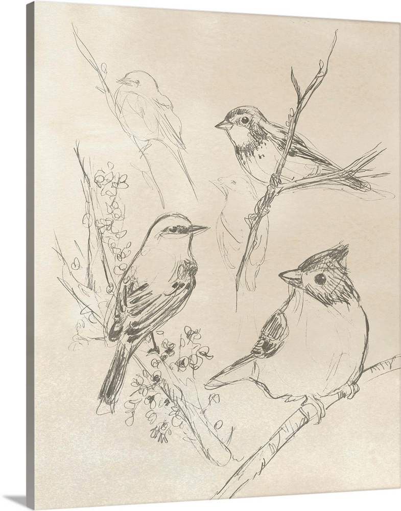 Vintage Songbird Sketch I Wall Art, Canvas Prints, Framed Prints, Wall ...
