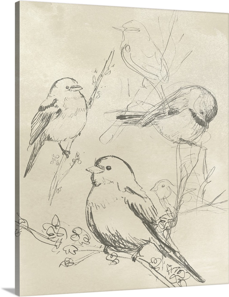 A vertical illustration of various birds perched on branches in a sketch-like style over a newsprint background.