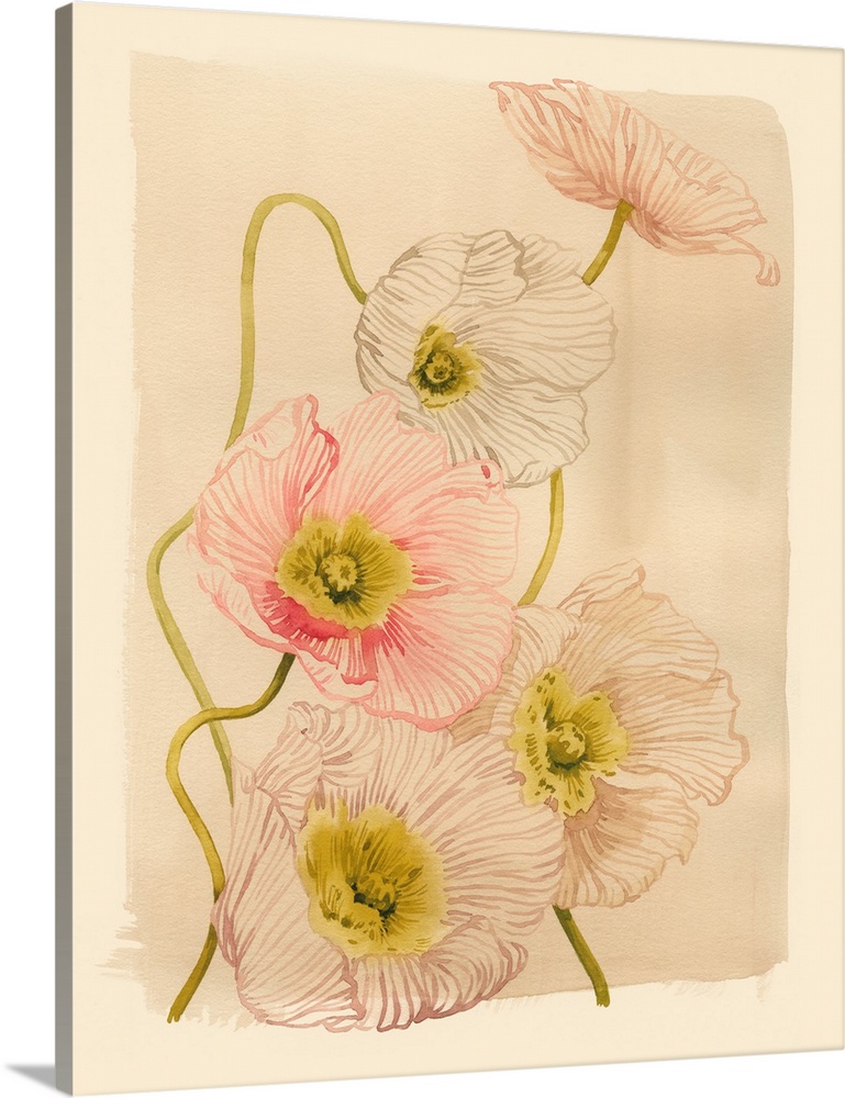 Vintage Summer Poppies I