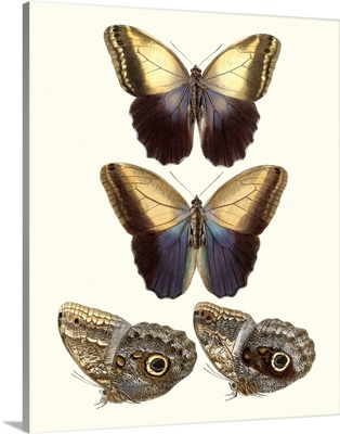 Violet Butterflies III