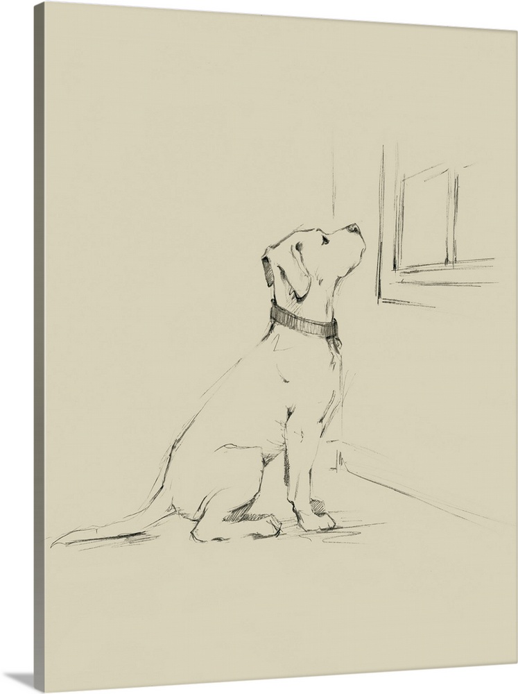 Sketch of a labrador retriever waiting at a window for its owner to come home.