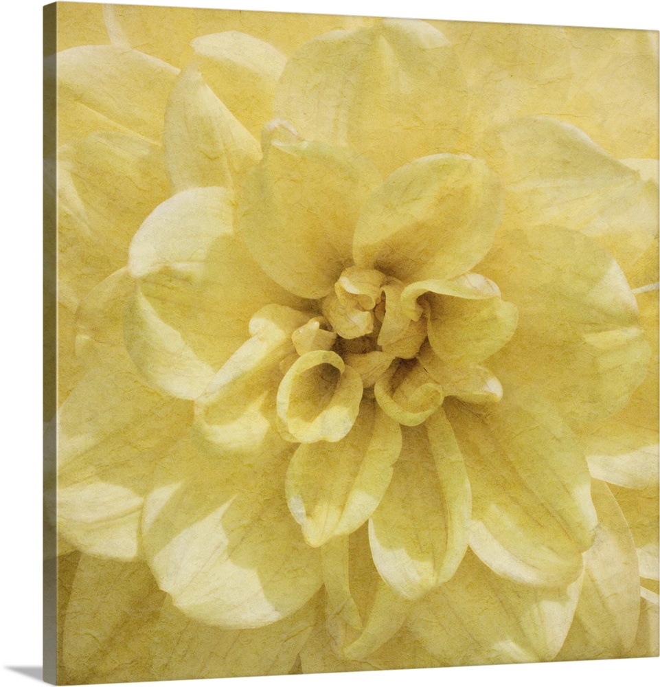 Flowers in shades of yellow fill this decorative art edge to edge.
