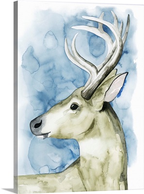 Wandering Stag I
