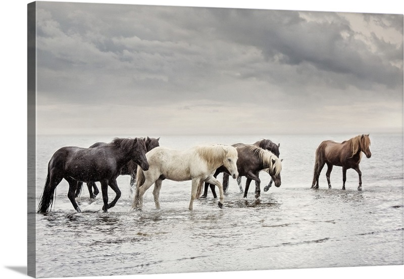 Water Horses IV | Great Big Canvas