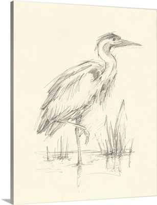 Waterbird Sketchbook Study I