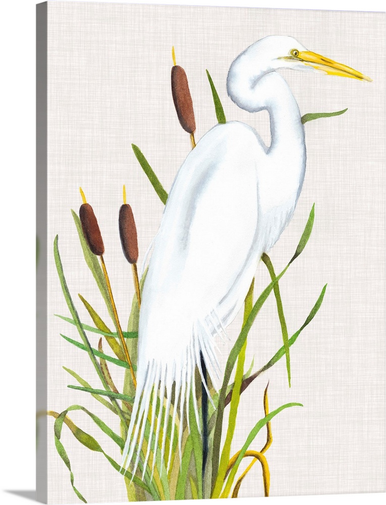 Painting of a white egret standing in tall reeds.