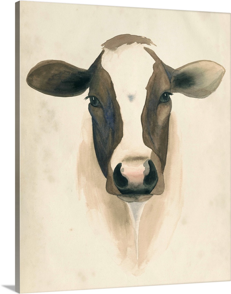 Watercolor painting of a dairy cow.