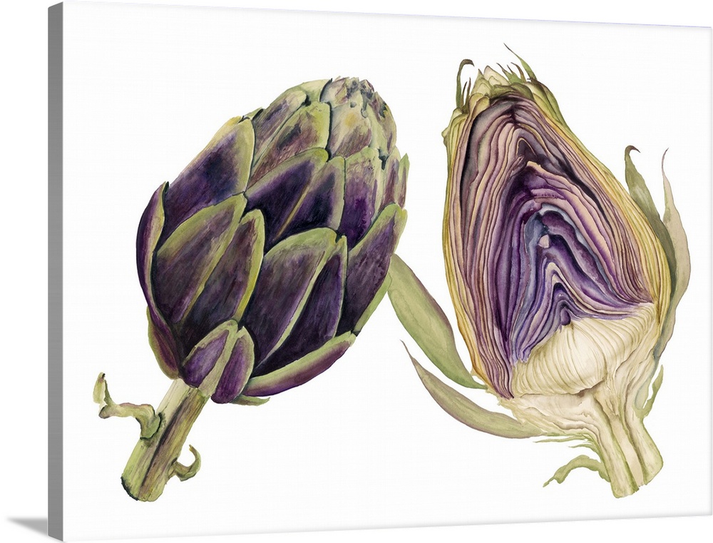 Watercolor painting of a whole and halved artichoke against a white background.