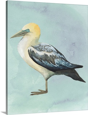Watercolor Beach Bird III