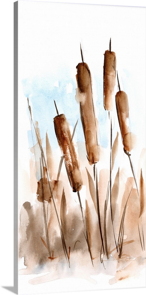 Watercolor Cattail Study II