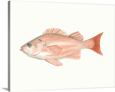 Watercolor Deep Sea Fish I