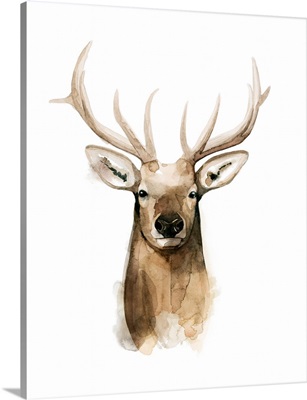 Watercolor Elk Portrait I