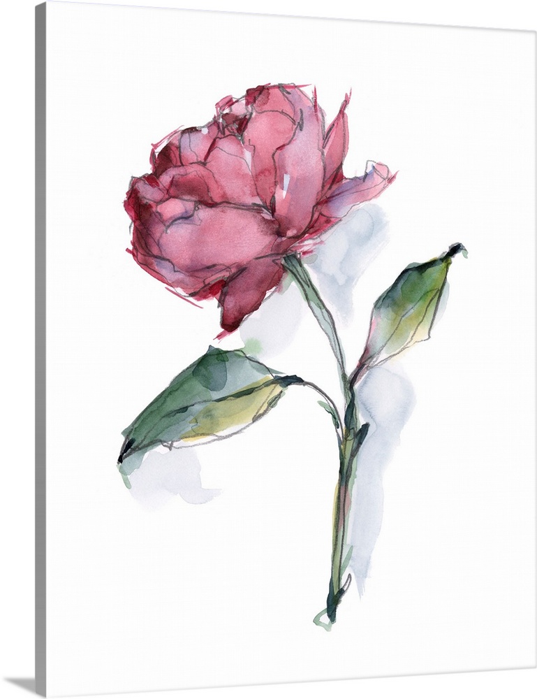 Watercolor Floral Contour III