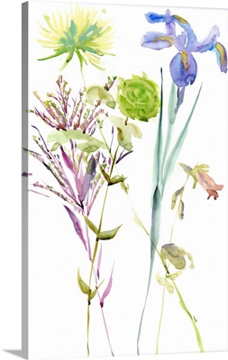 Watercolor Floral Study II