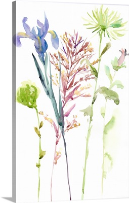 Watercolor Floral Study III