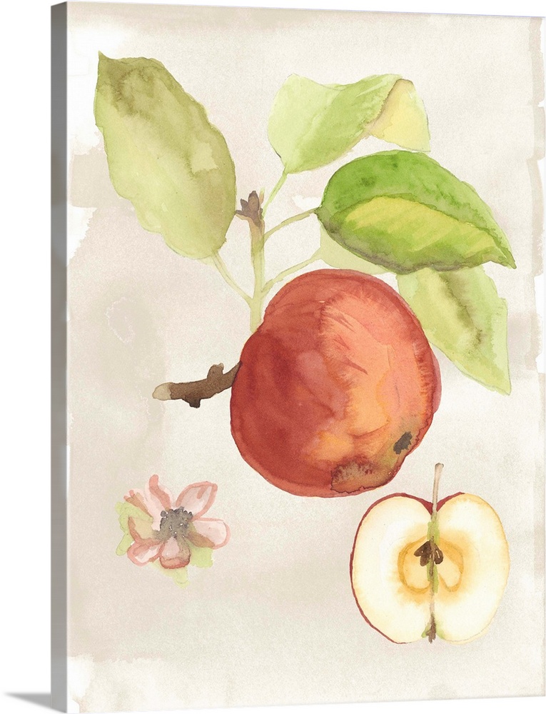 Contemporary watercolor painting of fruit.