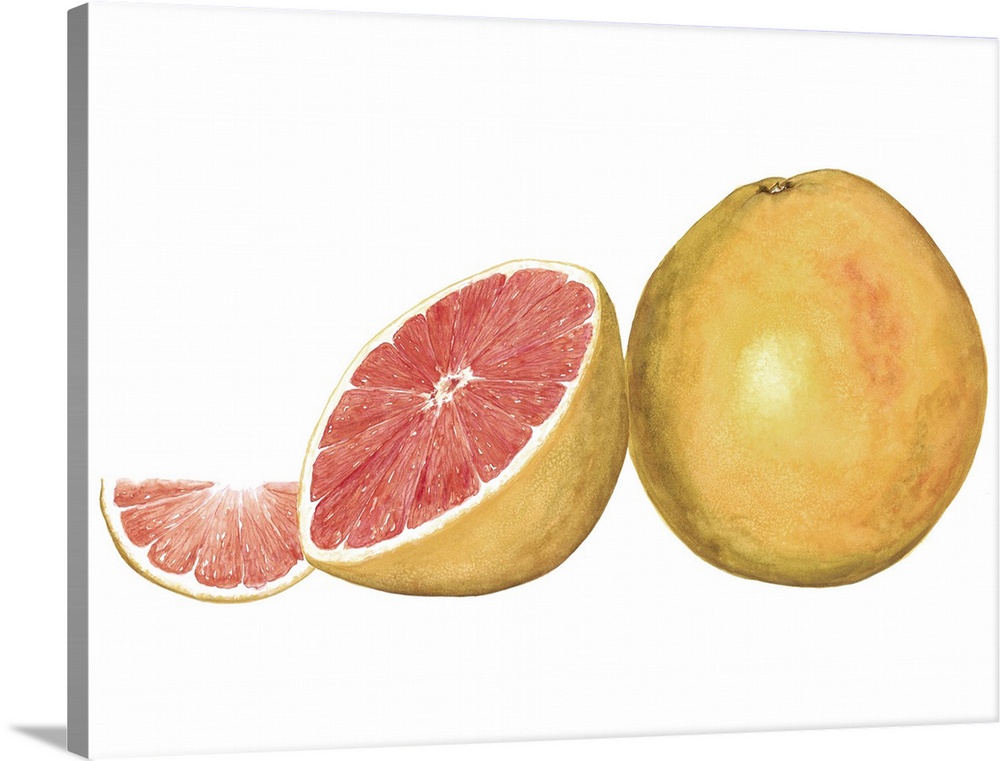 Watercolor painting of a whole and halved grapefruit against a white background.