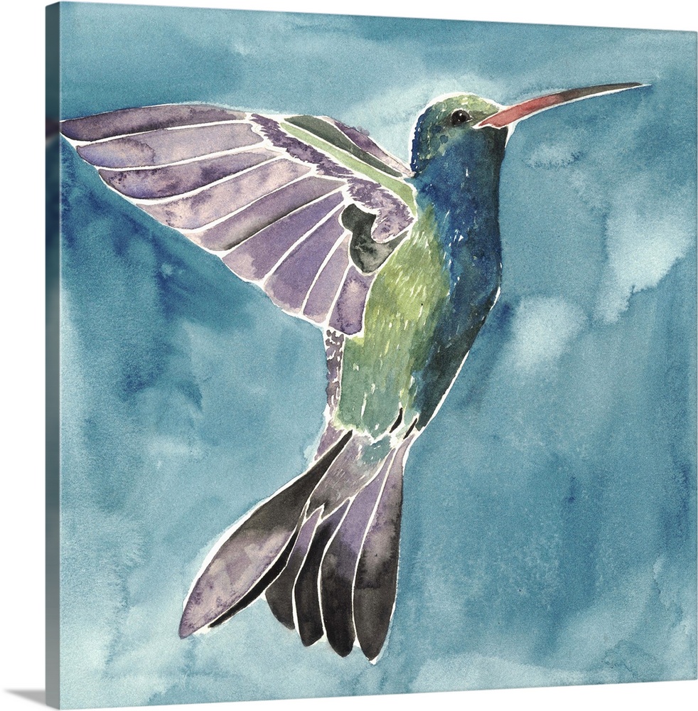 Watercolor painting of a hummingbird against a blue background.