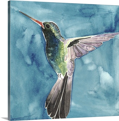 Watercolor Hummingbird II