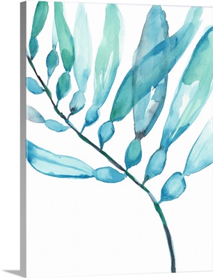 Watercolor Kelp II