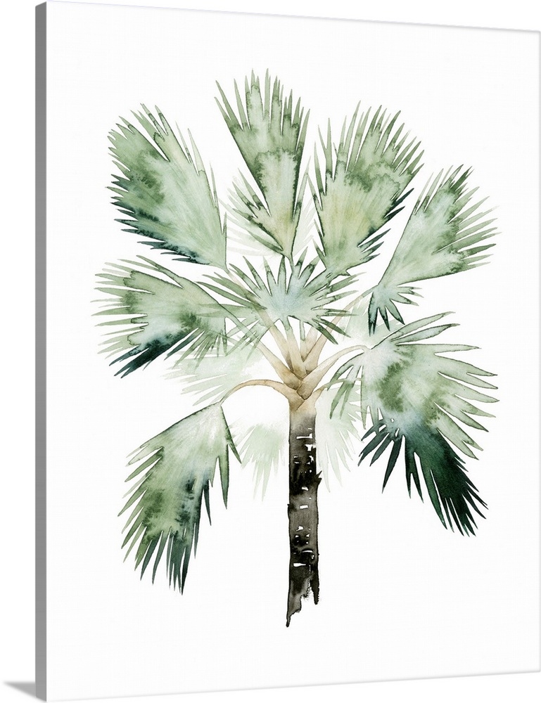 Watercolor artwork of a palm tree with broad green fronds.
