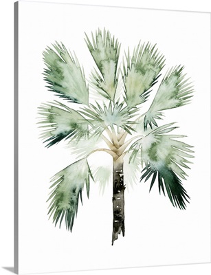 Watercolor Palm of the Tropics I