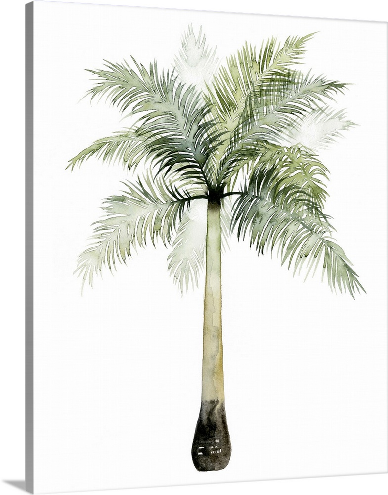 Watercolor artwork of a palm tree with broad green fronds.