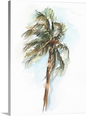 Watercolor Palm Study II