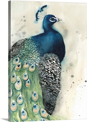Watercolor Peacock Portrait I