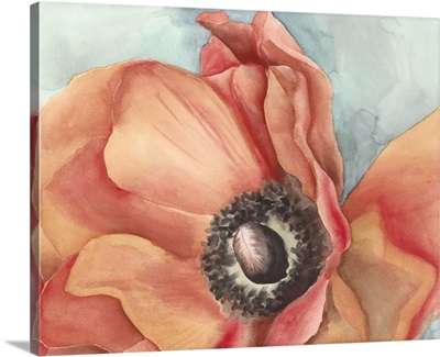 Watercolor Poppy I