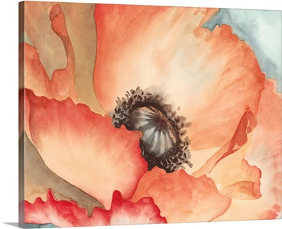 Watercolor Poppy II