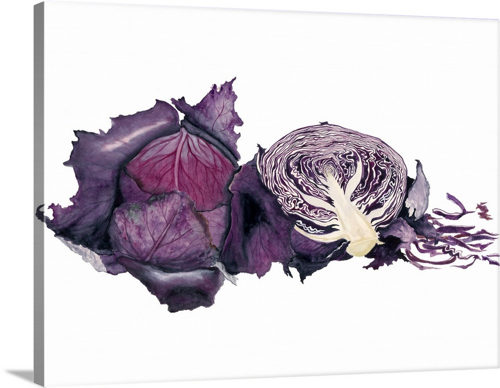Watercolor painting of a whole and halved purple cabbage against a white background.