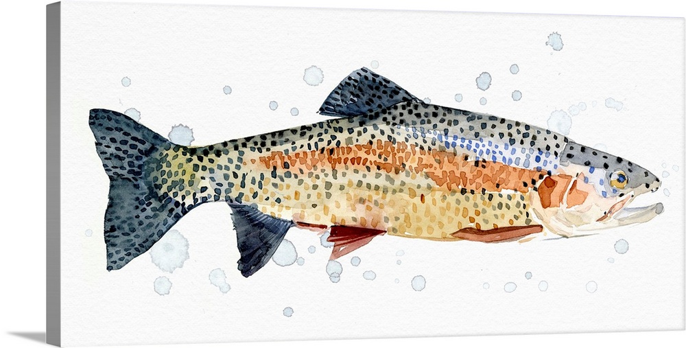 Watercolor Rainbow Trout I